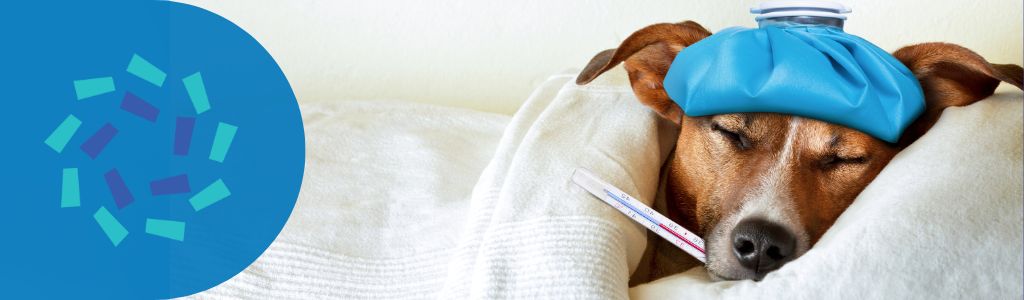 Read more about the article Supporting Your Pharmacy During Respiratory Season